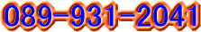 089-931-2041
